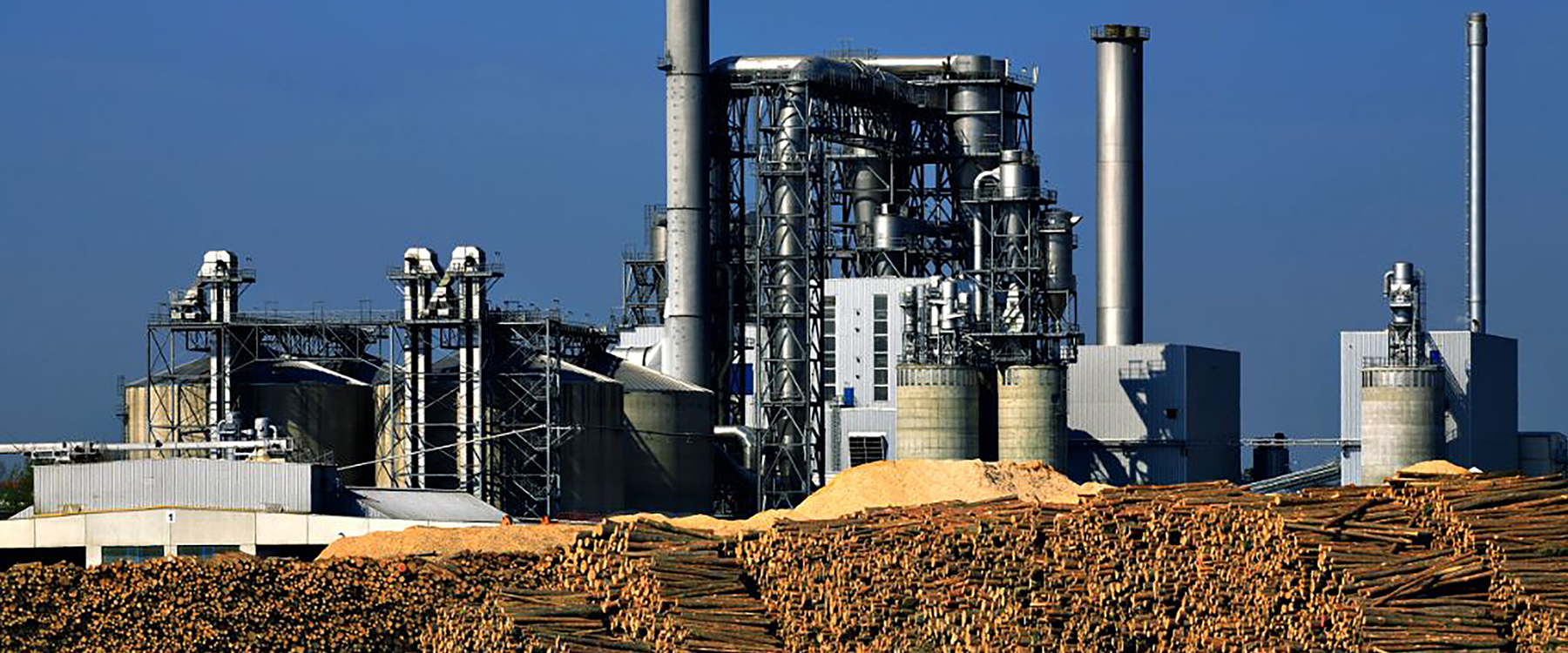 Pulp and paper facility that partners with Ferguson Industrial for quality PVF distribution.