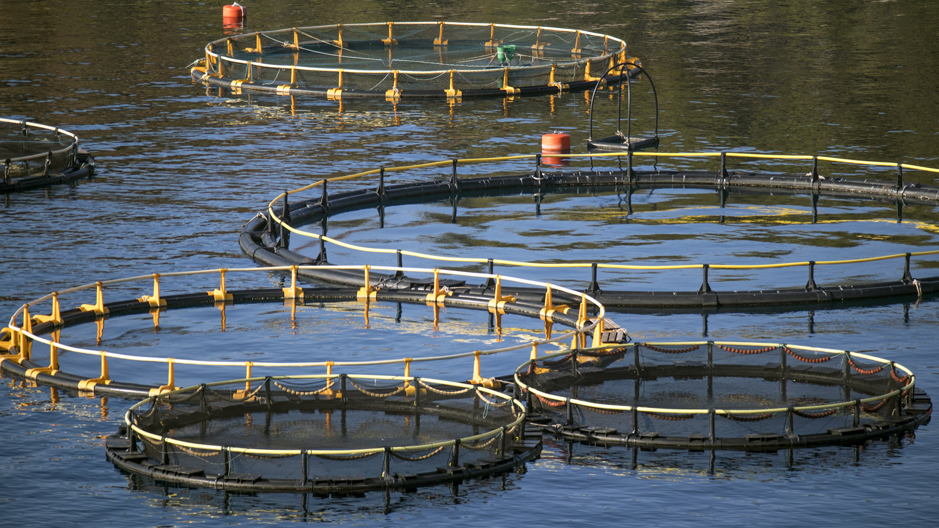 fish pens