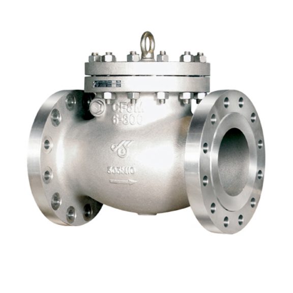 DSI check valve