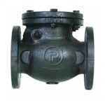 Powel check valve