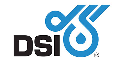 dsi logo