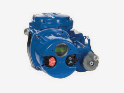 Limitorque QX actuator from preferred distributor, Ferguson Industrial