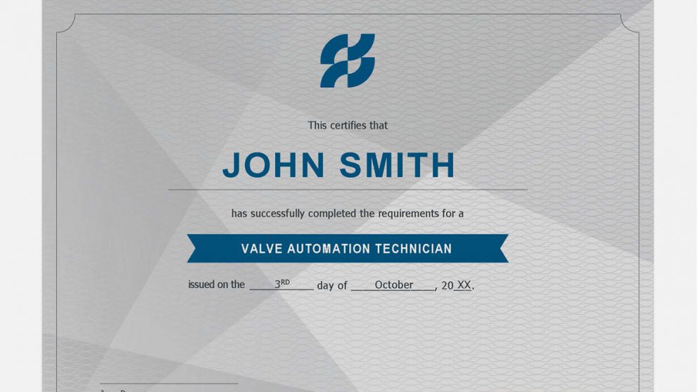 A continuing education certificate from Ferguson Industrial.