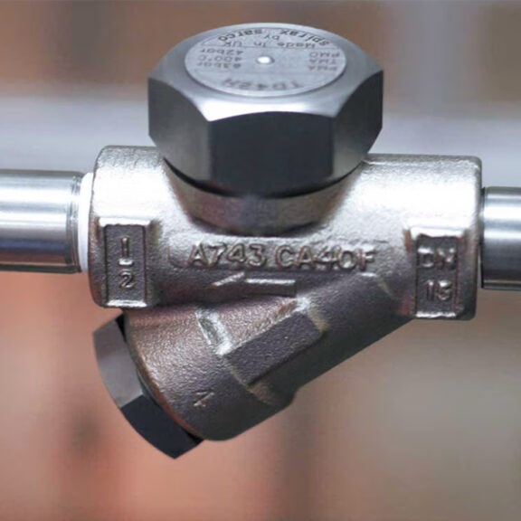 A thermodynamic steam trap on a process line.